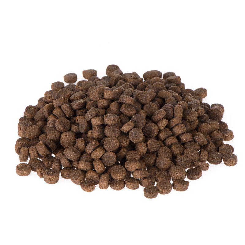 Briantos puppy nutrition