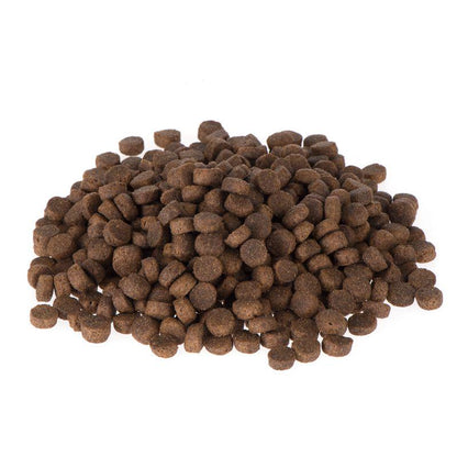 Briantos puppy nutrition