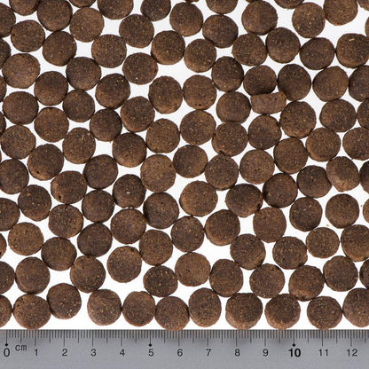 Complete food for puppies