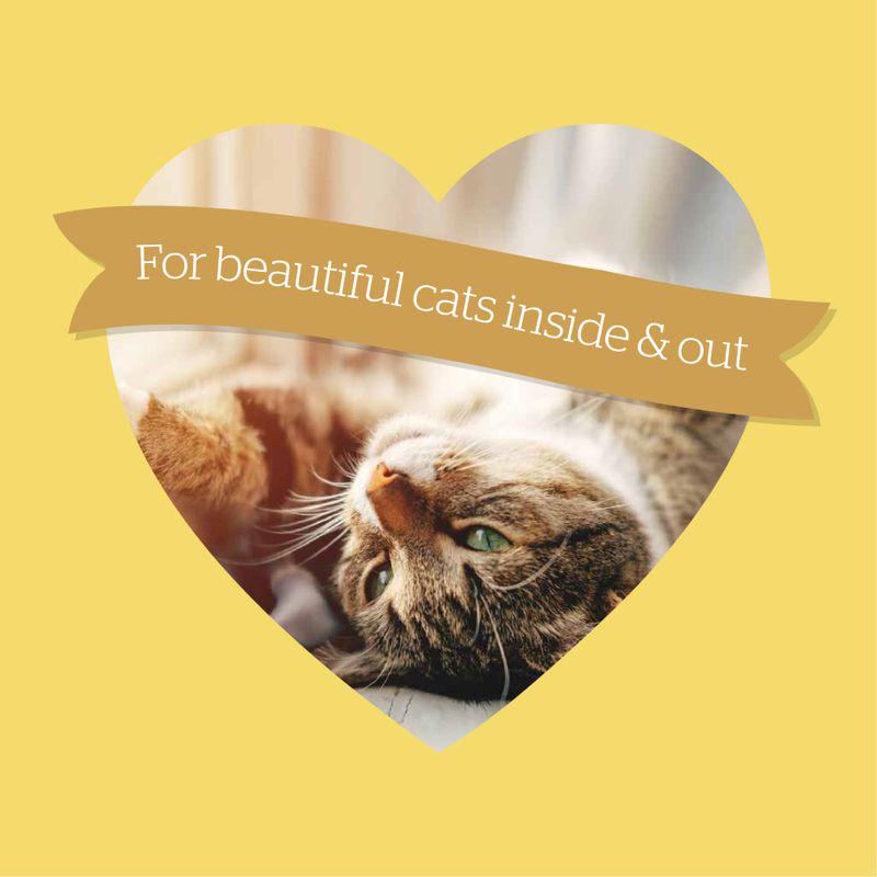 Burgess adult cat poultry mix