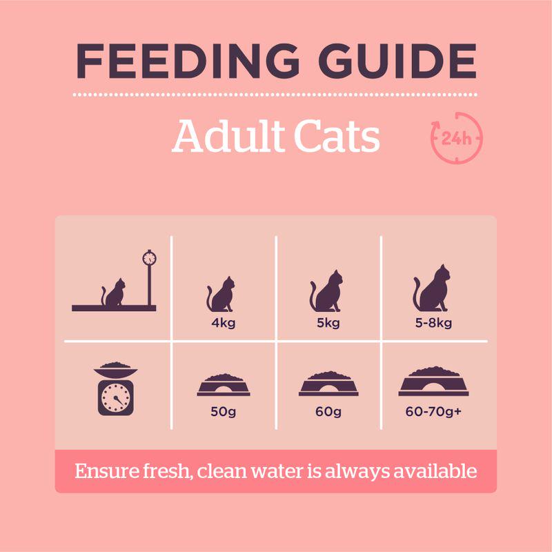 Rich in salmon cat meal