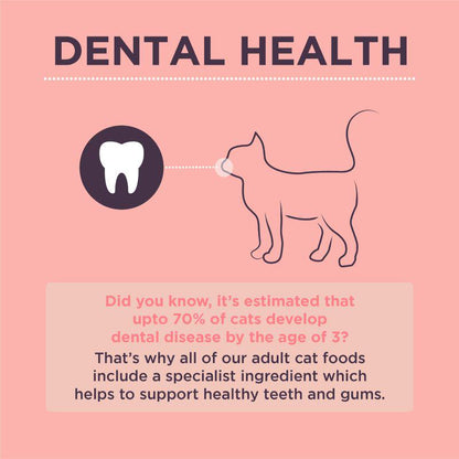 Salmon flavor cat food Burgess