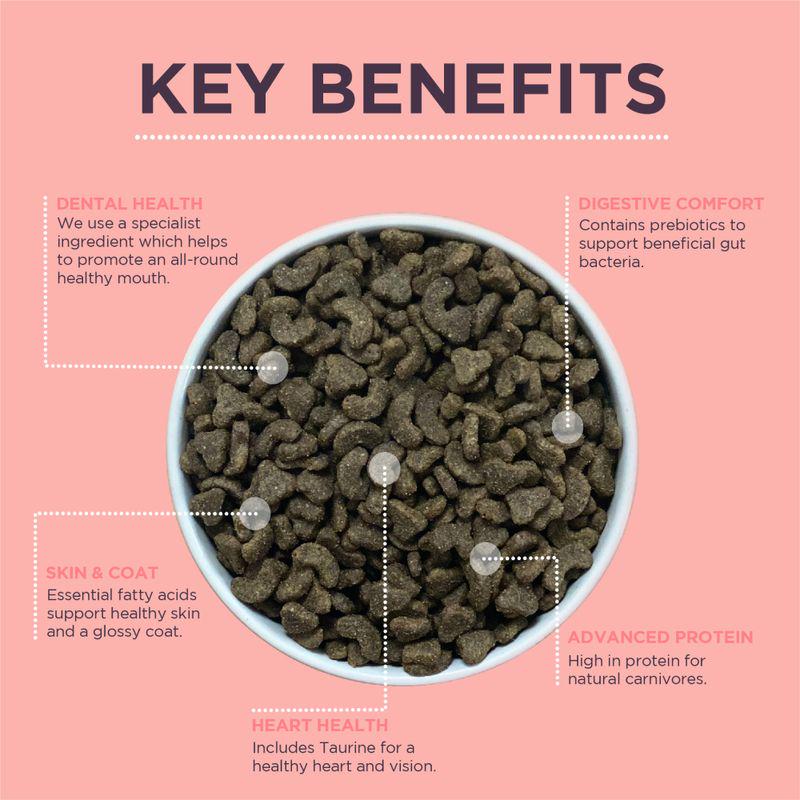 Burgess dry food salmon recipe