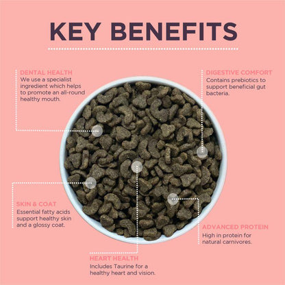 Burgess dry food salmon recipe