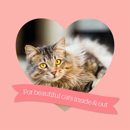 Burgess salmon formula for cats