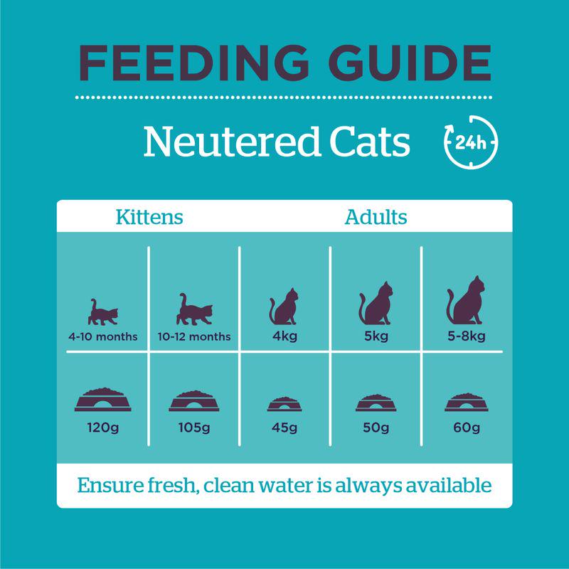 feeding guide neutered cats 24h