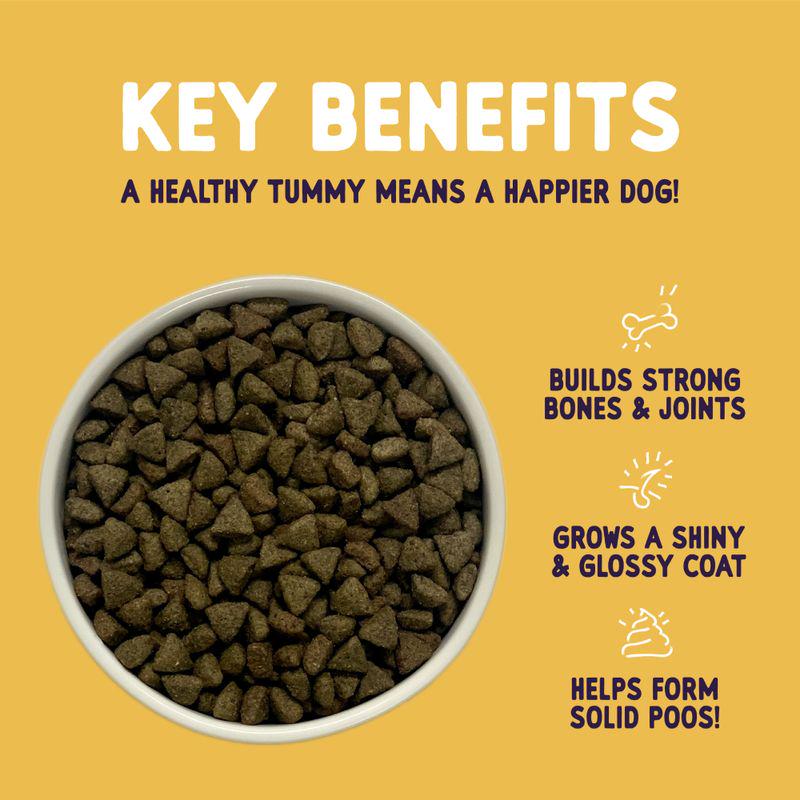 Gentle turkey adult dog food