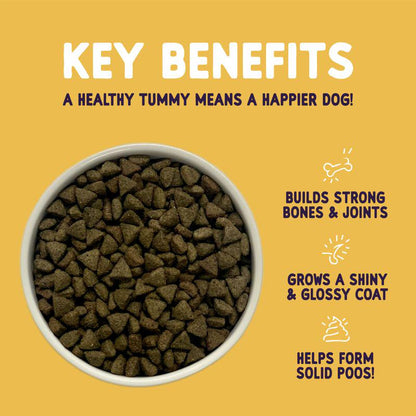 Gentle turkey adult dog food