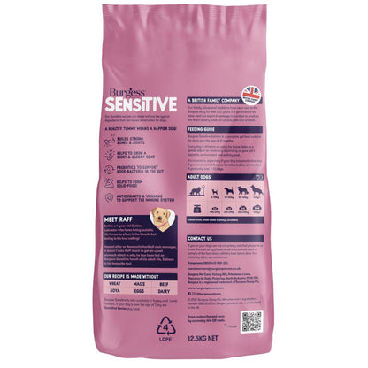 sensitive stomach dog salmon