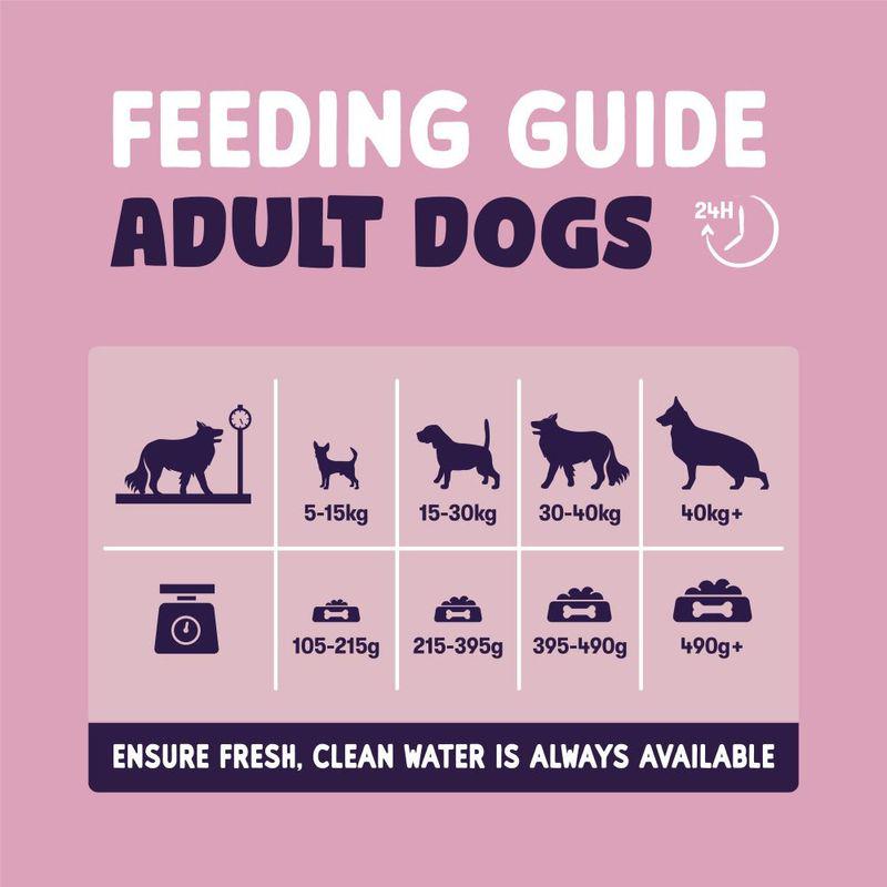 burgess salmon dog food