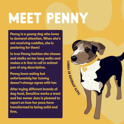 Adult dog food with turkey