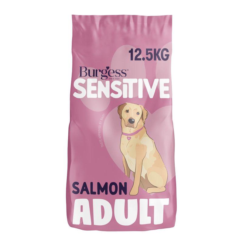 burgess salmon dog kibble