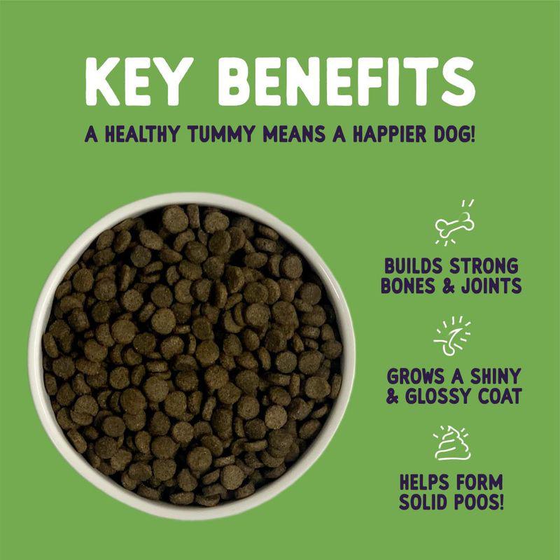 Burgess digestive care lamb