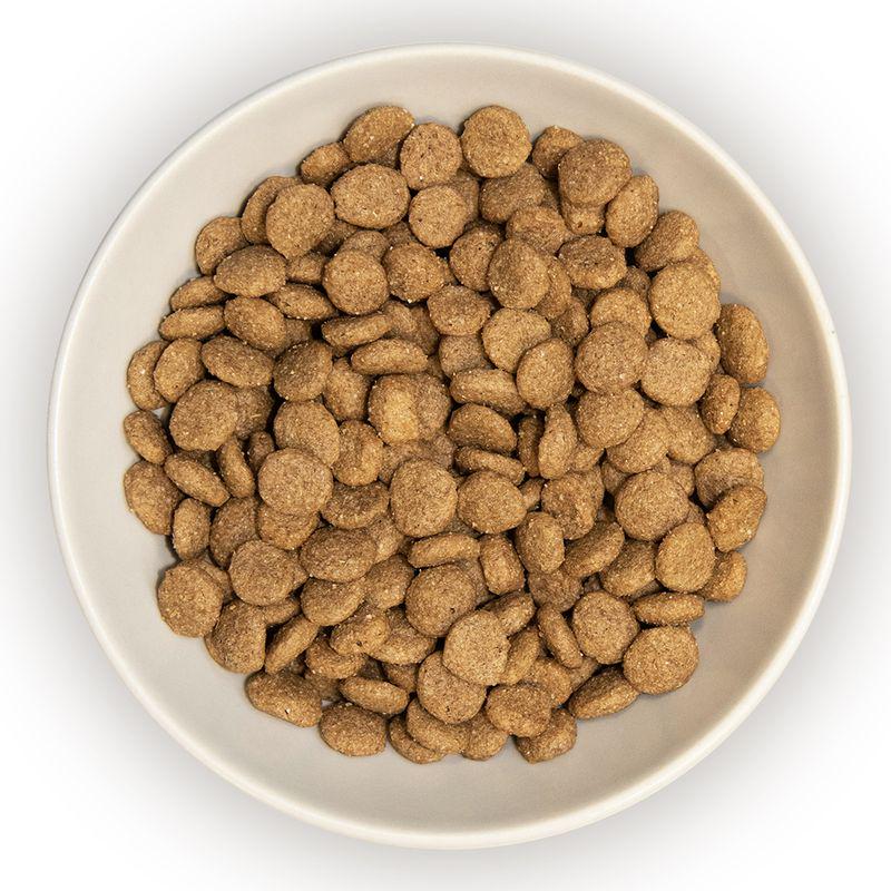 Burns Adult  Dry Cat Food