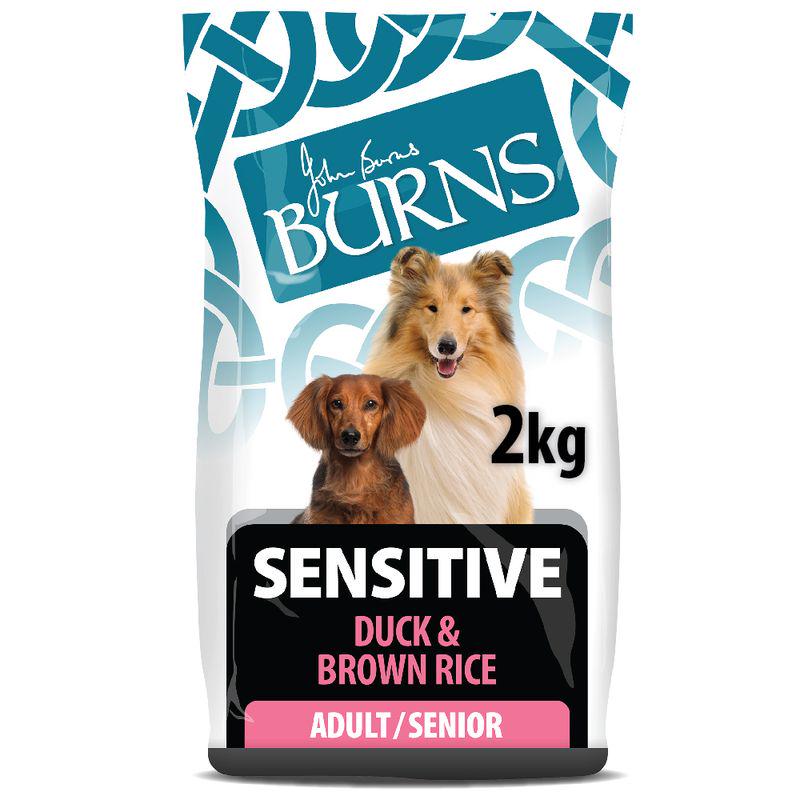 Sensitive dog food Burns
