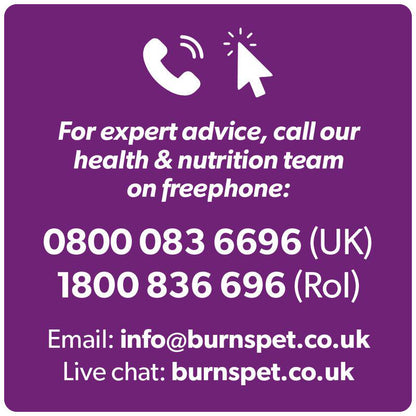 Sensitive cat Burns food