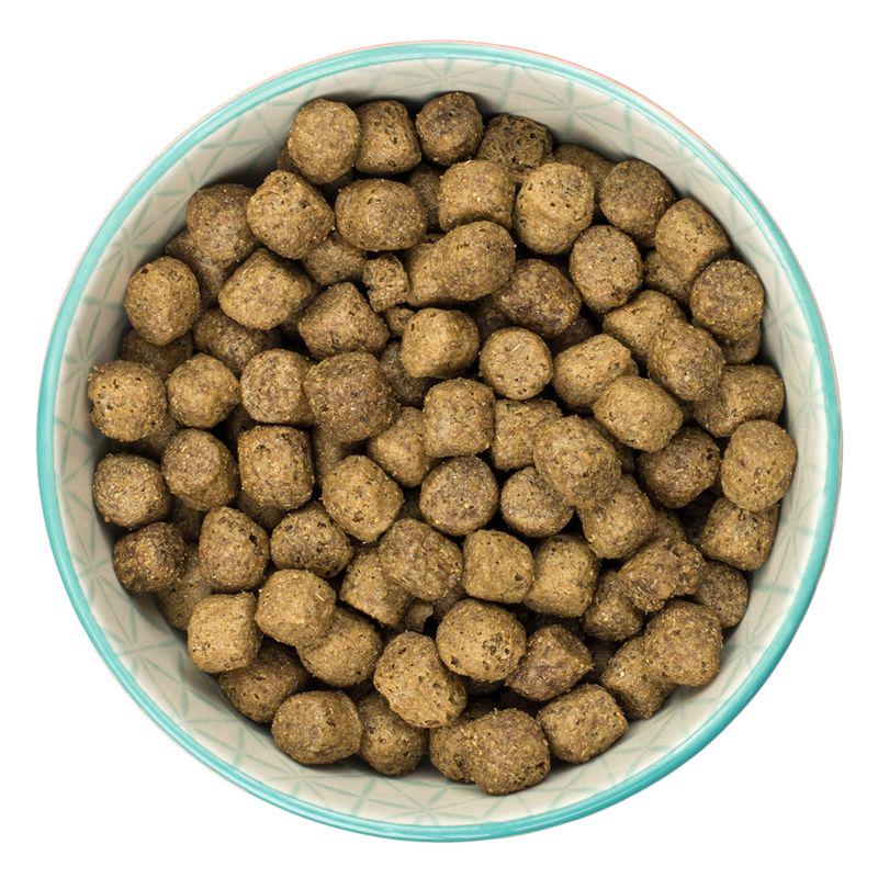 Burns dog food packaging