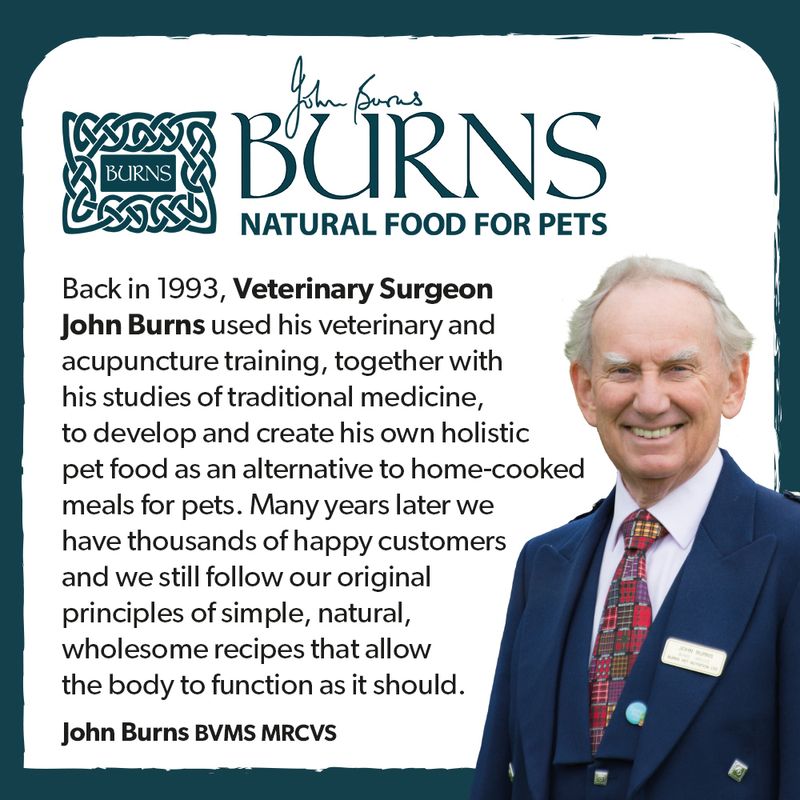 Burns Adult and Senior Sensitive - Chicken Dry Food 