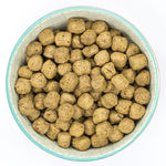 Load image into Gallery viewer, Burns Adult and Senior Dog Food
