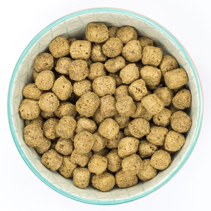 Burns Adult and Senior Dog Food