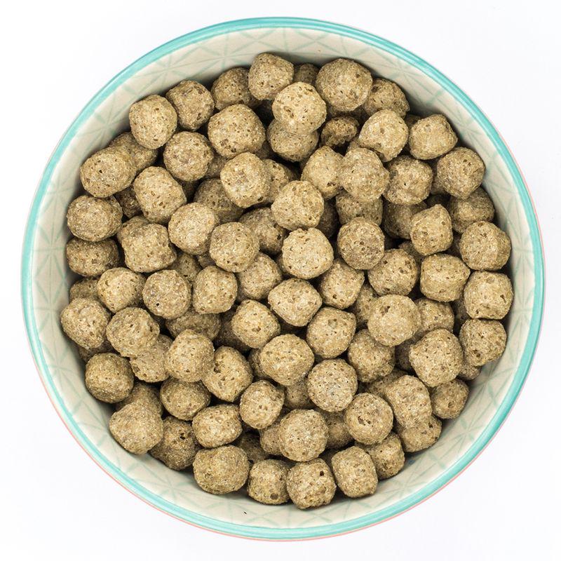 Digestive-friendly dog mixer