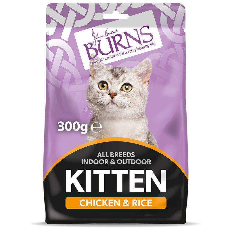 Chicken rice Burns kitten food