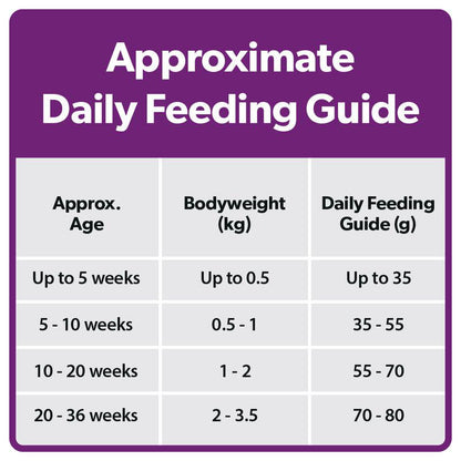 Burns kitten food with rice