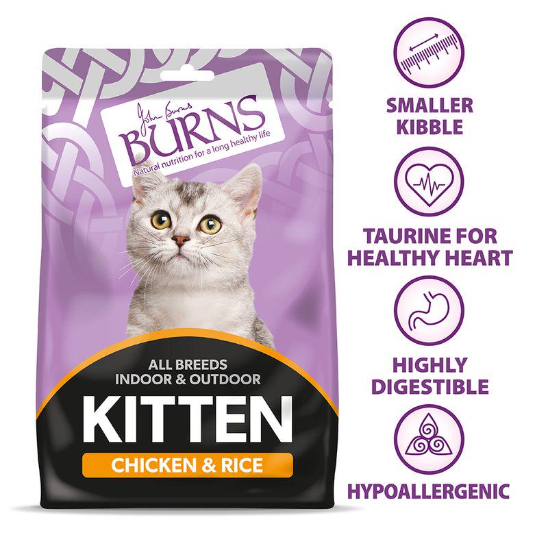 Burns Kitten Chicken and Rice cat food