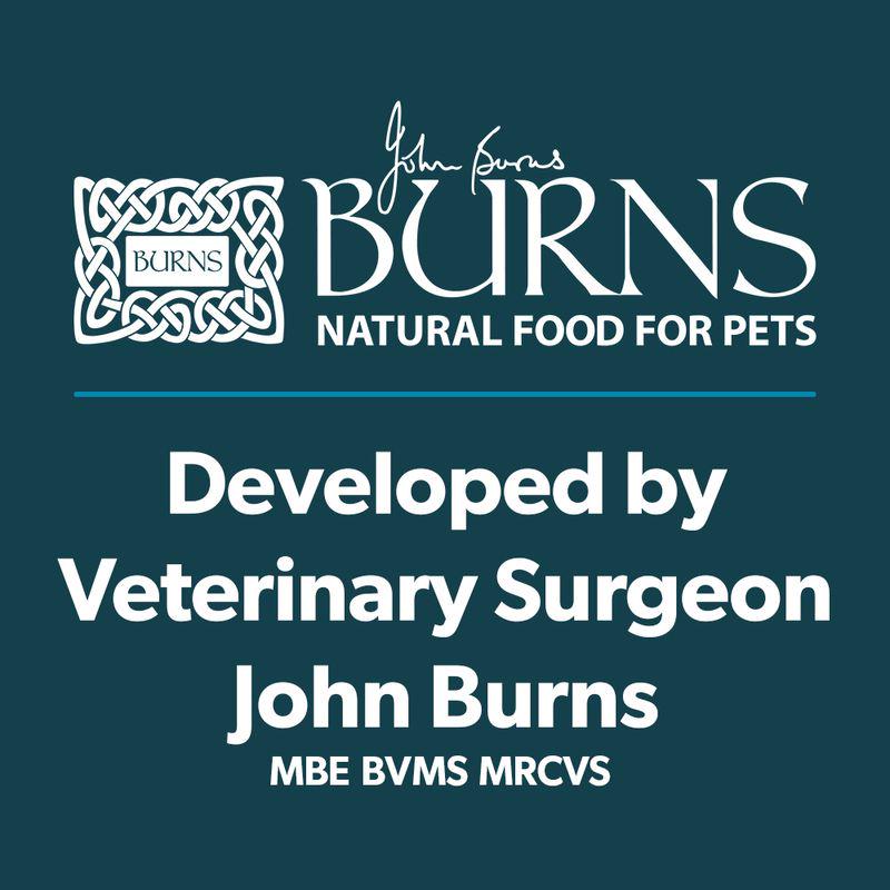 Burns Senior+ Toy and Small Breed - Chicken and Brown Rice