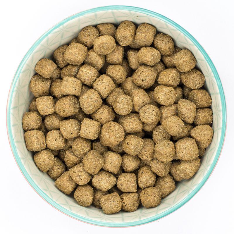 Senior dog food Burns