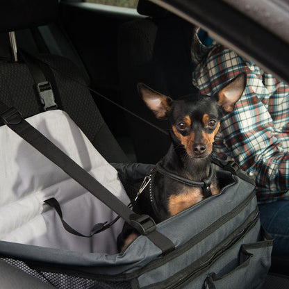 Booster seat for pets