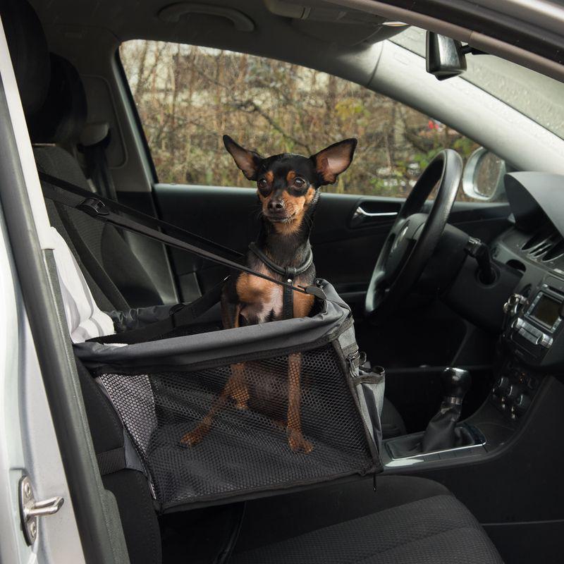 Padded car pet seat