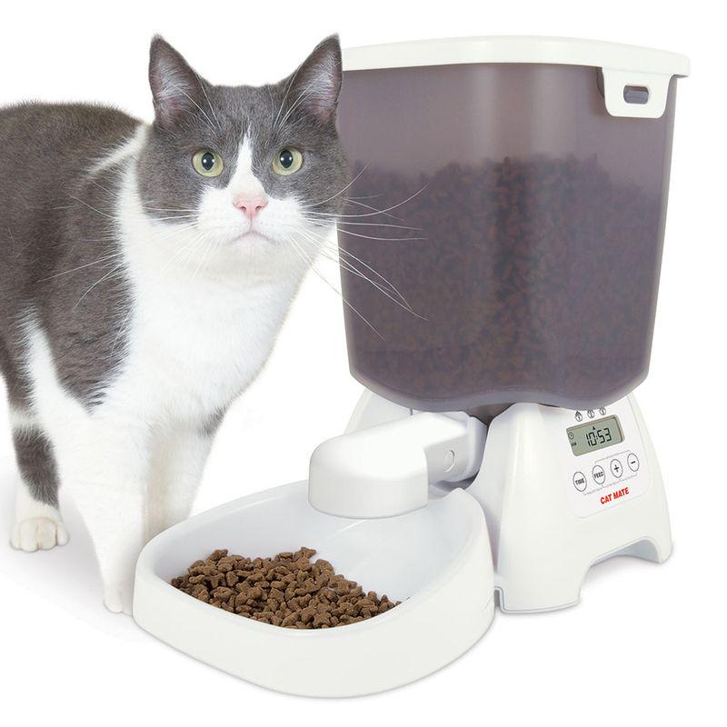 Programmable cat feeder