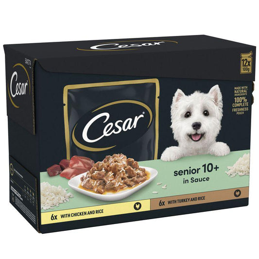 10 plus dog meals