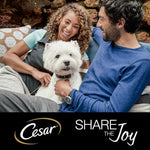 Load image into Gallery viewer, Cesar Classic Terrine Mixed Pack
