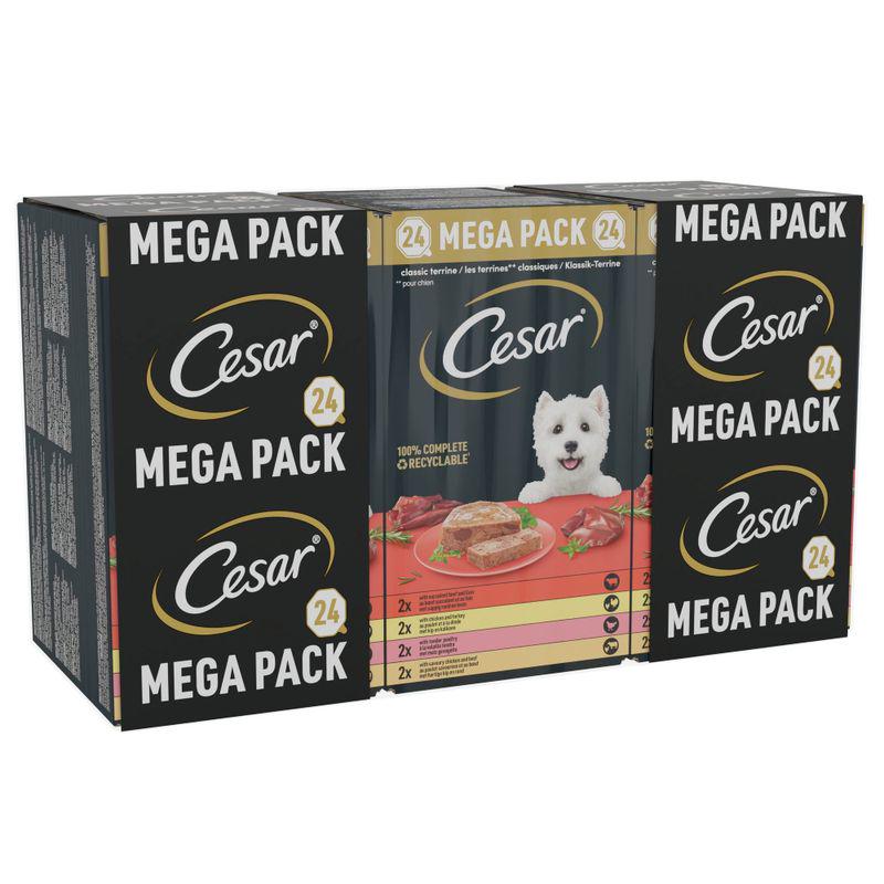 Cesar Classic Terrine Mixed Pack