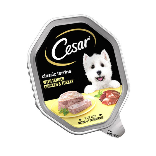 14 Cesar dog food trays