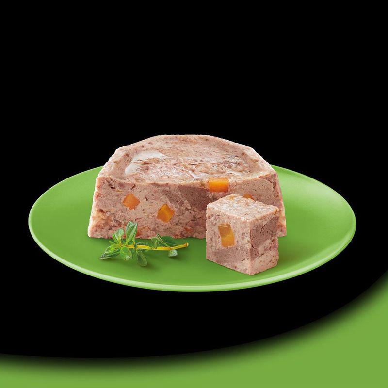 Cesar Garden-Terrine 8x