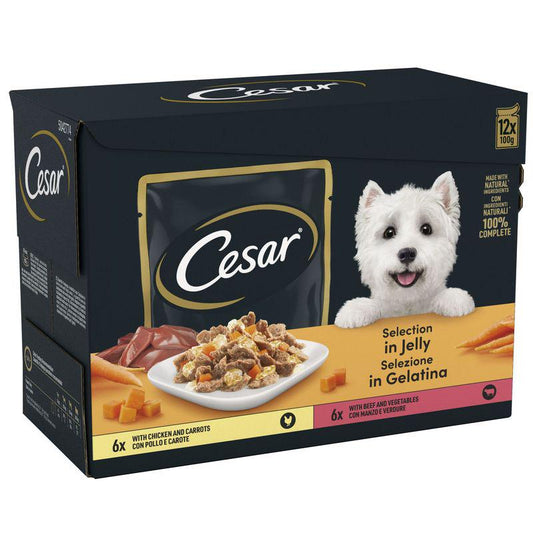 Fresh dog food in jelly