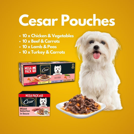 Mixed selection dog pouches