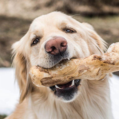 Durable natural chew stick