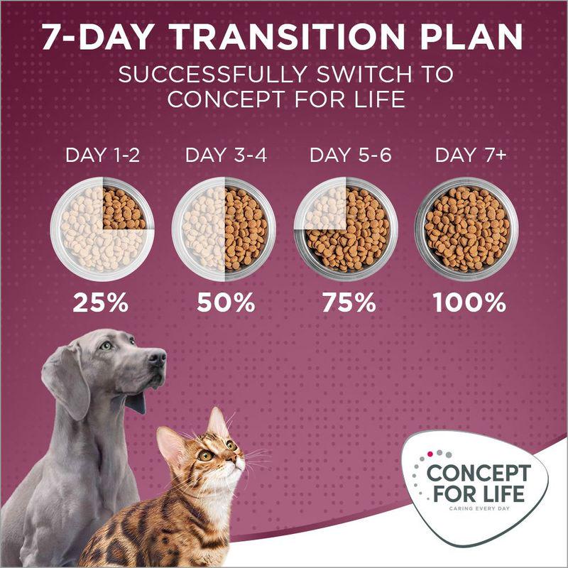 Concept for Life All Cats