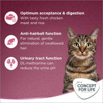 Load image into Gallery viewer, Concept for Life All Cats
