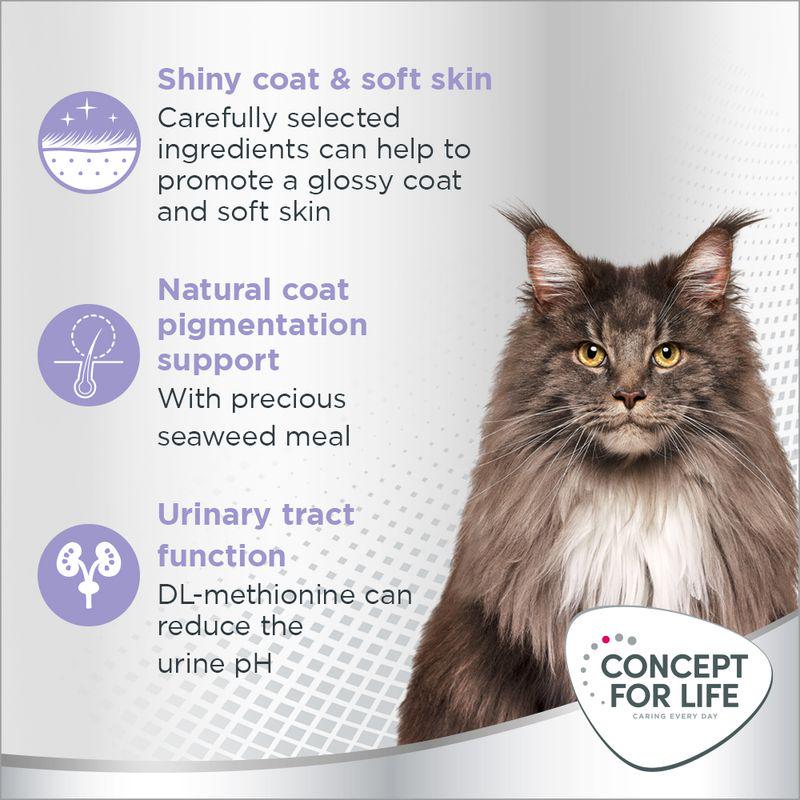 Beauty nutrition for cats
