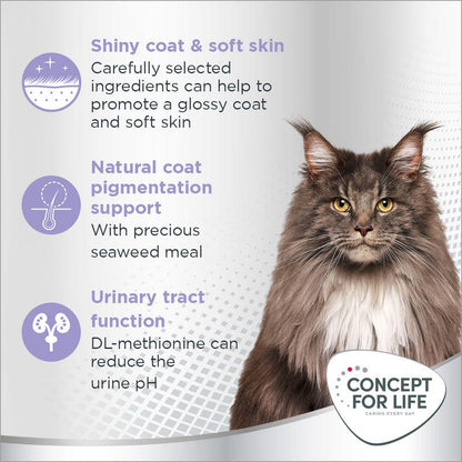 Beauty nutrition for cats
