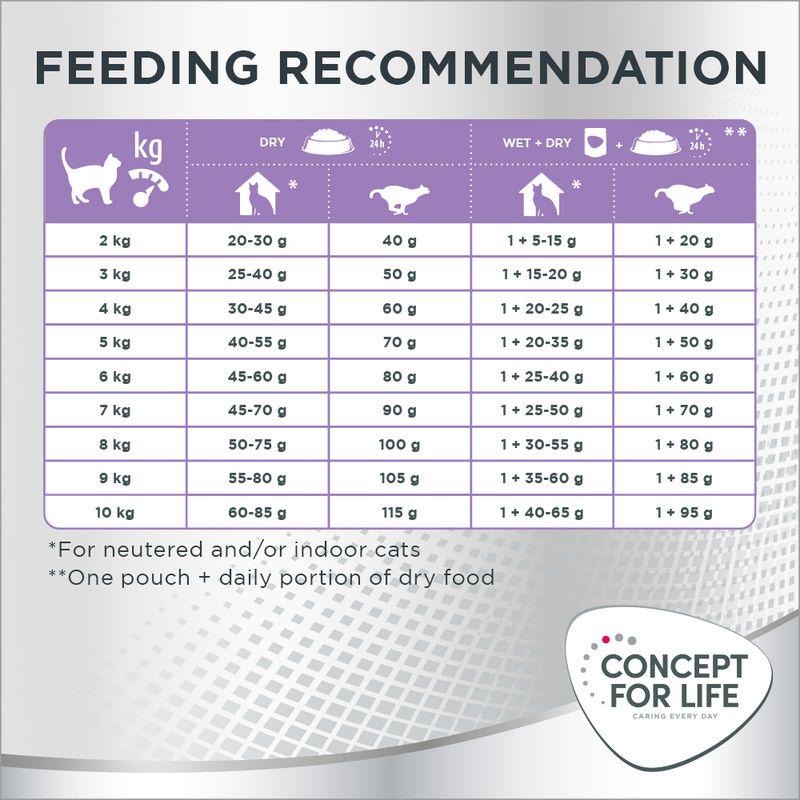 Coat care adult food