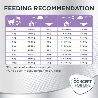 Coat care adult food