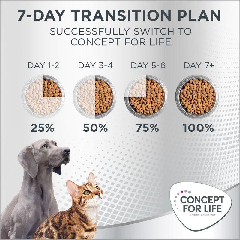 Concept for Life Calm