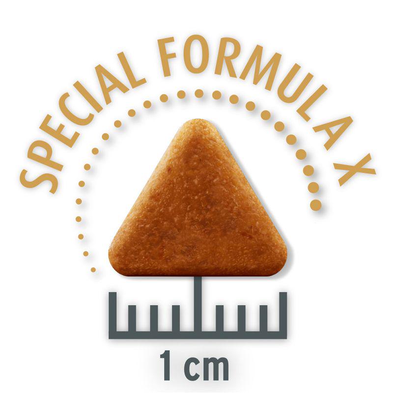 Healthy dog food deal