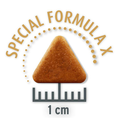 Healthy dog food deal